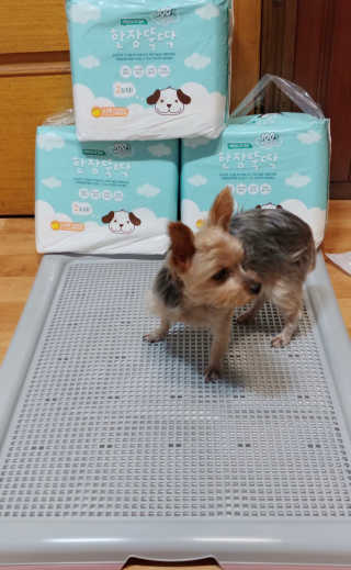 김로이님이 올린 리뷰 사진 2