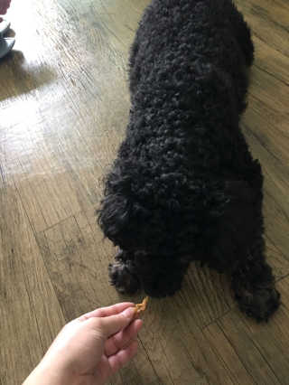서연님이 올린 리뷰 사진 2