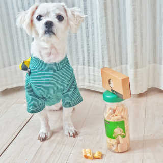 디됴니님이 올린 리뷰 사진 2