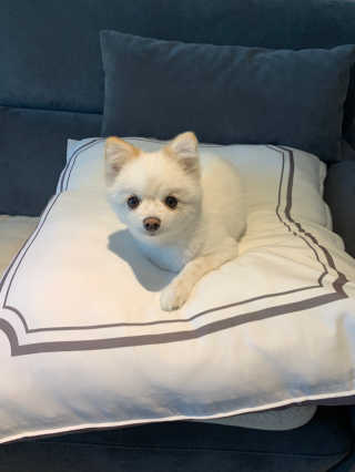 젠홀릭님이 올린 리뷰 사진 3