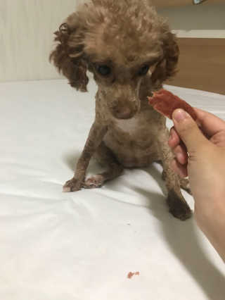 박지연님이 올린 리뷰 사진 1