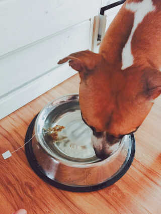 보라둥님이 올린 리뷰 사진 2