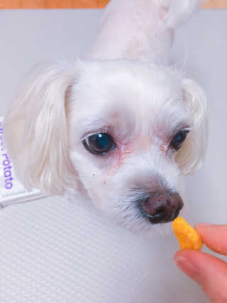 쮸동비님이 올린 리뷰 사진 3