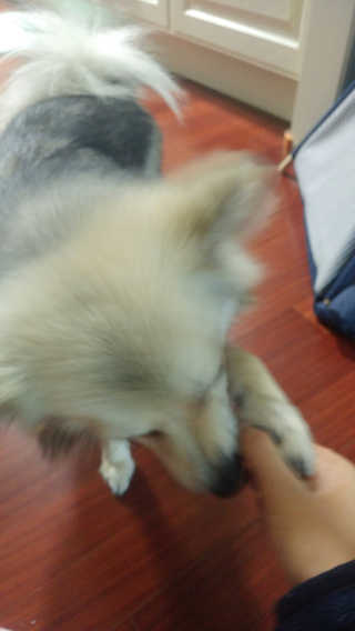 xoxo님이 올린 리뷰 사진 3
