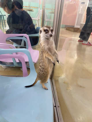 뚝쁘님이 올린 리뷰 사진 1