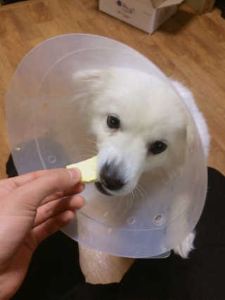 허다은님이 올린 리뷰 사진 4