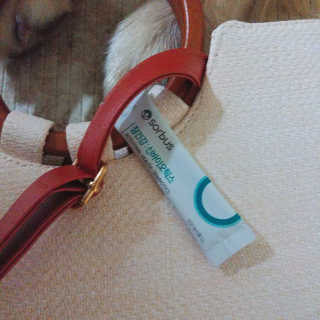 아보카도올리브님이 올린 리뷰 사진 2