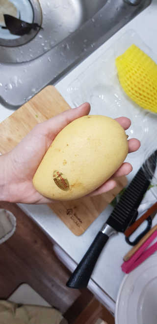 네롱이님이 올린 리뷰 사진 2