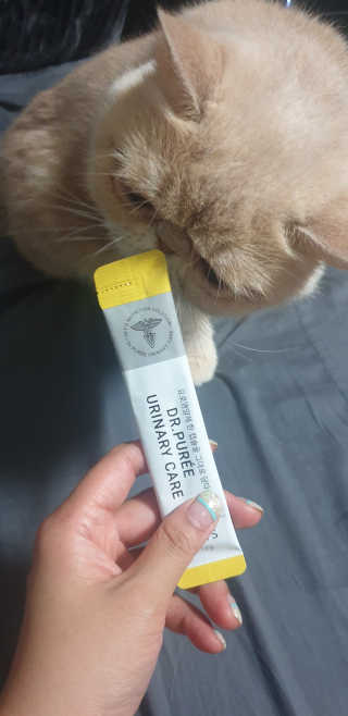 망나니집사님이 올린 리뷰 사진 1