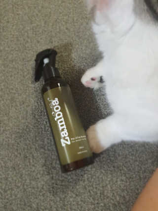 판타지스타님이 올린 리뷰 사진 3