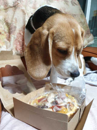 beaglelove님이 올린 리뷰 사진 2