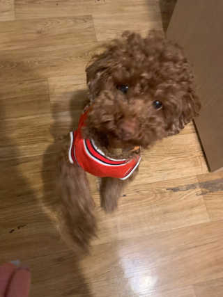 프롬님이 올린 리뷰 사진 3