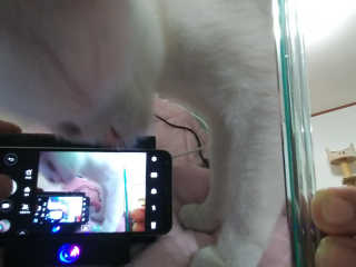 SeulonPark님이 올린 리뷰 사진 4