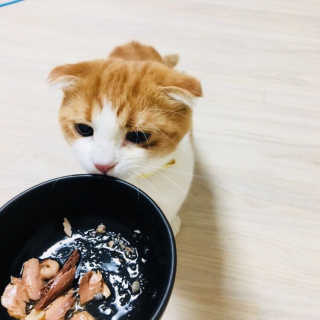 배유성님이 올린 리뷰 사진 1