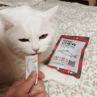 토모님이 올린 리뷰 사진 1