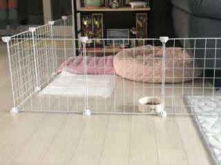 SeuljiYoun님이 올린 리뷰 사진 1