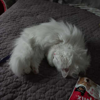 례진님이 올린 리뷰 사진 3