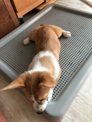 ArumPark님이 올린 리뷰 사진 1