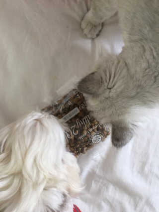 dewwwww님이 올린 리뷰 사진 1
