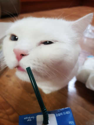 피카츄님이 올린 리뷰 사진 3