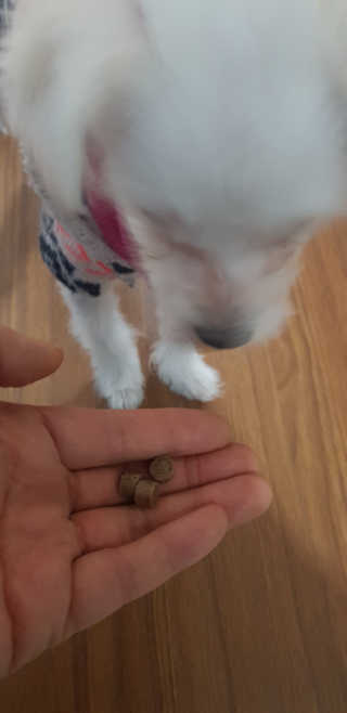 푸카카님이 올린 리뷰 사진 4