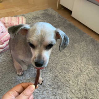 맘이님이 올린 리뷰 사진 3