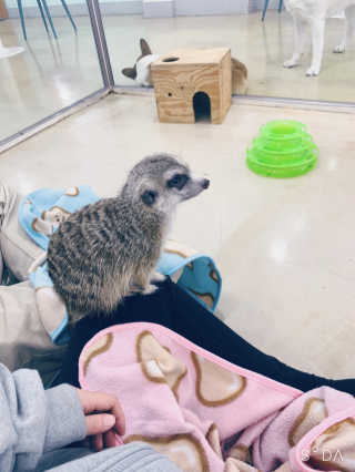 HannaKeem님이 올린 리뷰 사진 2
