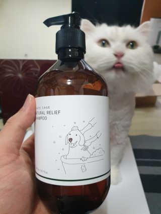 Woo7C님이 올린 리뷰 사진 1