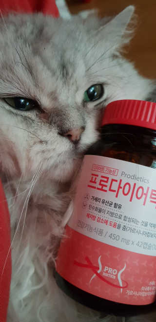 이영실님이 올린 리뷰 사진 1