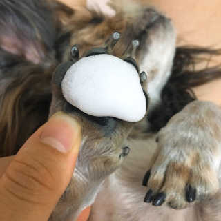 베베츄님이 올린 리뷰 사진 4