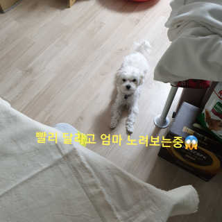 시우하늘맘님이 올린 리뷰 사진 4