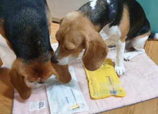 beaglelove님이 올린 리뷰 사진 1