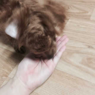 권주희님이 올린 리뷰 사진 4