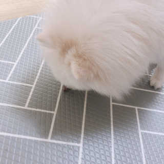꾸눙맘님이 올린 리뷰 사진 4