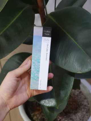 향기의미술관 명화 오드콜로뉴 섬유향수 80ml 6종 — 5점을 준 리뷰어가 2019년 9월 올린 사용 사진