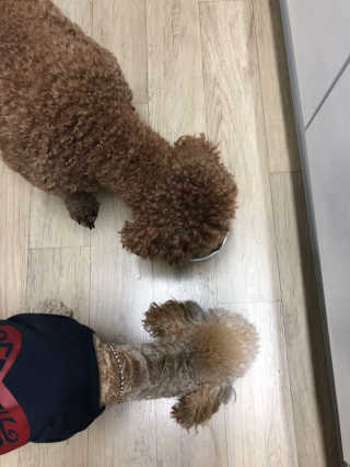박둥근님이 올린 리뷰 사진 3