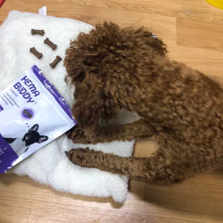 칸쵸님이 올린 리뷰 사진 4