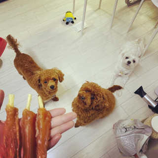 칸쵸님이 올린 리뷰 사진 4