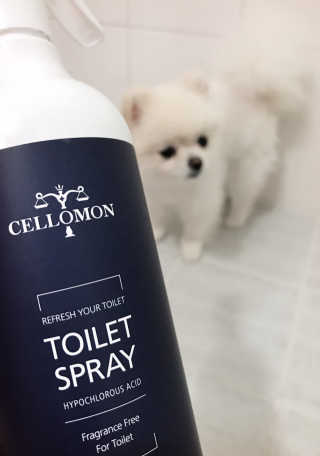 셀로몬 토일렛 스프레이 500ml — 5점을 준 리뷰어가 2018년 5월 올린 사용 사진