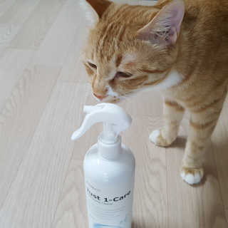 미야님이 올린 리뷰 사진 4