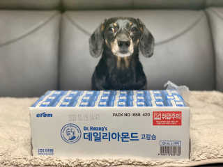 콩이누나님이 올린 리뷰 사진 1