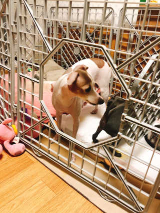 잇진님이 올린 리뷰 사진 3