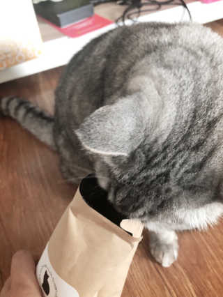 jinvely님이 올린 리뷰 사진 4