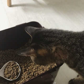 쵸리퐁님이 올린 리뷰 사진 2