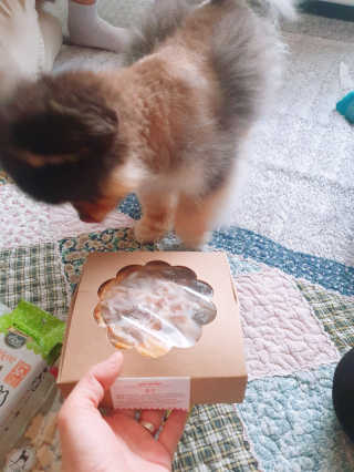 아윤마밍님이 올린 리뷰 사진 1