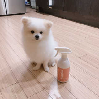 제리톰레나님이 올린 리뷰 사진 2