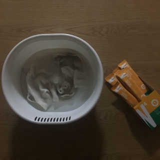 레인보우샵 올인원세탁세제,베이킹소다 스틱포6개입+세탁조클리너 — 5점을 준 리뷰어가 2018년 4월 올린 사용 사진