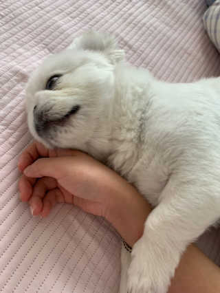 박리뷰왕님이 올린 리뷰 사진 2