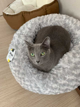 momomom님이 올린 리뷰 사진 1
