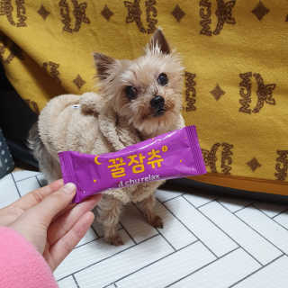 솜희님이 올린 리뷰 사진 1